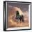 Dream Horses 058-Bob Langrish-Framed Photographic Print