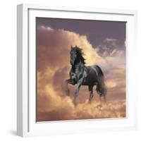 Dream Horses 058-Bob Langrish-Framed Photographic Print