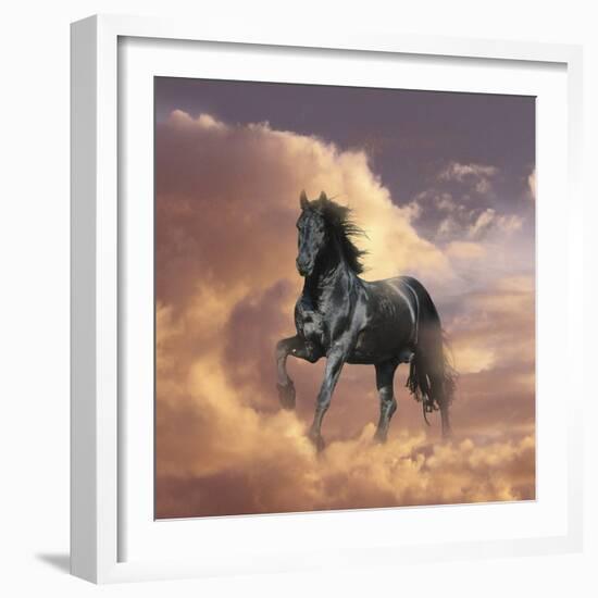 Dream Horses 058-Bob Langrish-Framed Photographic Print