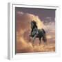 Dream Horses 058-Bob Langrish-Framed Photographic Print