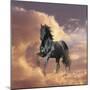 Dream Horses 058-Bob Langrish-Mounted Photographic Print