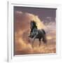 Dream Horses 058-Bob Langrish-Framed Photographic Print