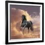 Dream Horses 058-Bob Langrish-Framed Photographic Print