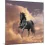 Dream Horses 058-Bob Langrish-Mounted Photographic Print