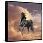 Dream Horses 058-Bob Langrish-Framed Stretched Canvas