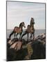 Dream Horses 059-Bob Langrish-Mounted Photographic Print