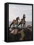 Dream Horses 059-Bob Langrish-Framed Stretched Canvas