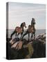 Dream Horses 059-Bob Langrish-Stretched Canvas