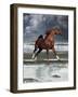 Dream Horses 062-Bob Langrish-Framed Photographic Print