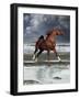 Dream Horses 062-Bob Langrish-Framed Photographic Print