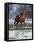 Dream Horses 062-Bob Langrish-Framed Stretched Canvas