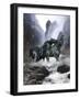 Dream Horses 065-Bob Langrish-Framed Premium Photographic Print