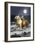 Dream Horses 068-Bob Langrish-Framed Photographic Print