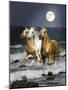 Dream Horses 068-Bob Langrish-Mounted Photographic Print