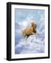 Dream Horses 069-Bob Langrish-Framed Photographic Print