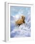 Dream Horses 069-Bob Langrish-Framed Photographic Print