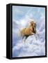 Dream Horses 069-Bob Langrish-Framed Stretched Canvas