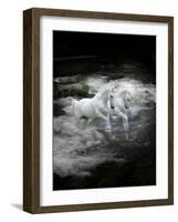Dream Horses 070-Bob Langrish-Framed Photographic Print