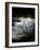 Dream Horses 070-Bob Langrish-Framed Photographic Print