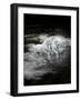 Dream Horses 070-Bob Langrish-Framed Photographic Print