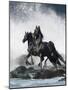 Dream Horses 073-Bob Langrish-Mounted Photographic Print