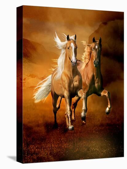 Dream Horses 075-Bob Langrish-Stretched Canvas