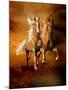 Dream Horses 075-Bob Langrish-Mounted Photographic Print