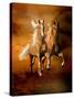 Dream Horses 075-Bob Langrish-Stretched Canvas