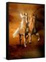 Dream Horses 075-Bob Langrish-Framed Stretched Canvas