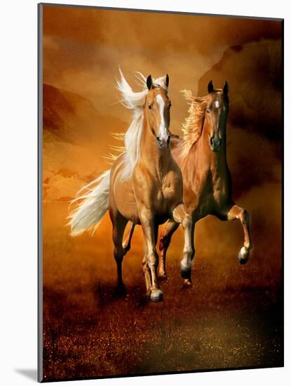 Dream Horses 075-Bob Langrish-Mounted Photographic Print