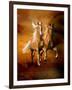 Dream Horses 075-Bob Langrish-Framed Photographic Print
