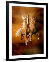 Dream Horses 075-Bob Langrish-Framed Photographic Print