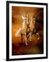 Dream Horses 075-Bob Langrish-Framed Photographic Print