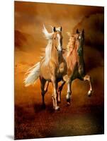 Dream Horses 075-Bob Langrish-Mounted Photographic Print