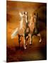 Dream Horses 075-Bob Langrish-Mounted Photographic Print