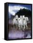 Dream Horses 078-Bob Langrish-Framed Stretched Canvas