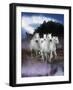 Dream Horses 078-Bob Langrish-Framed Photographic Print