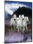 Dream Horses 078-Bob Langrish-Mounted Photographic Print