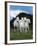 Dream Horses 079-Bob Langrish-Framed Photographic Print