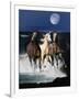 Dream Horses 080-Bob Langrish-Framed Photographic Print