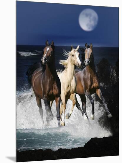 Dream Horses 080-Bob Langrish-Mounted Photographic Print