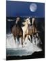 Dream Horses 080-Bob Langrish-Mounted Photographic Print