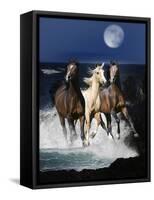 Dream Horses 080-Bob Langrish-Framed Stretched Canvas