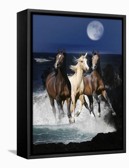 Dream Horses 080-Bob Langrish-Framed Stretched Canvas