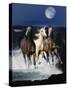 Dream Horses 080-Bob Langrish-Stretched Canvas