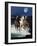 Dream Horses 080-Bob Langrish-Framed Premium Photographic Print