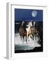 Dream Horses 080-Bob Langrish-Framed Premium Photographic Print