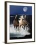 Dream Horses 080-Bob Langrish-Framed Photographic Print