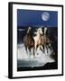 Dream Horses 080-Bob Langrish-Framed Photographic Print