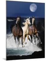 Dream Horses 080-Bob Langrish-Mounted Photographic Print